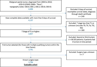 Patterns of Treatment and Outcomes in Older Men With Penile Cancer: A SEER Dataset Analysis